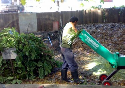 Branches and larger leaves are being pulverized via a shredder.