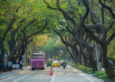 Shuttle bus on a green road
