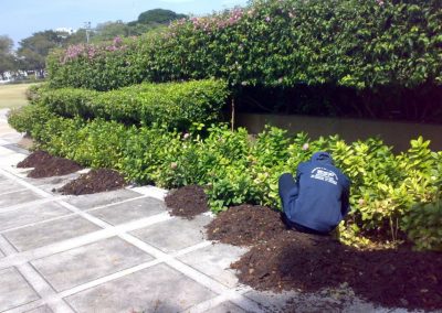 The fertilizers are store in bags and ready to be use as fertilizer.