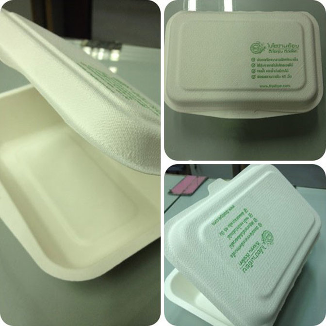 The decomposable Bagasse food containers