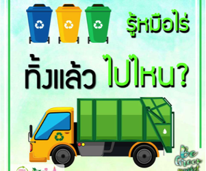 YELLOW OR GREEN?